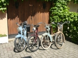Mes mobylettes - 2